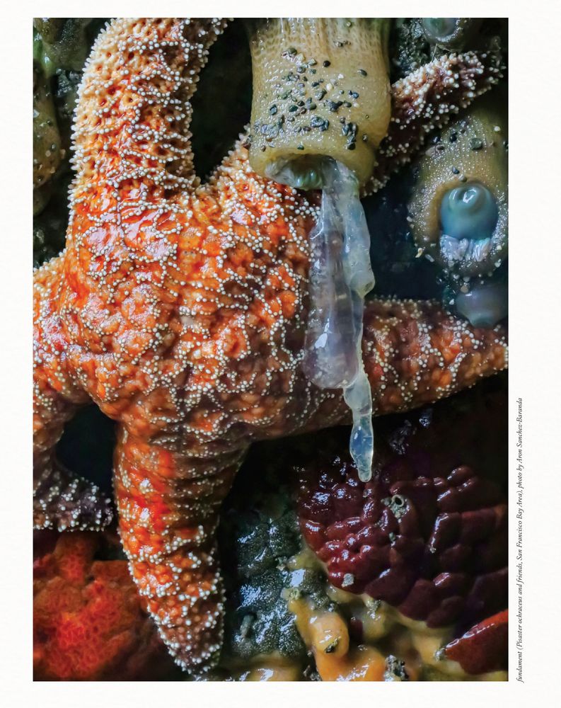 ISSUE 03 - Image 15