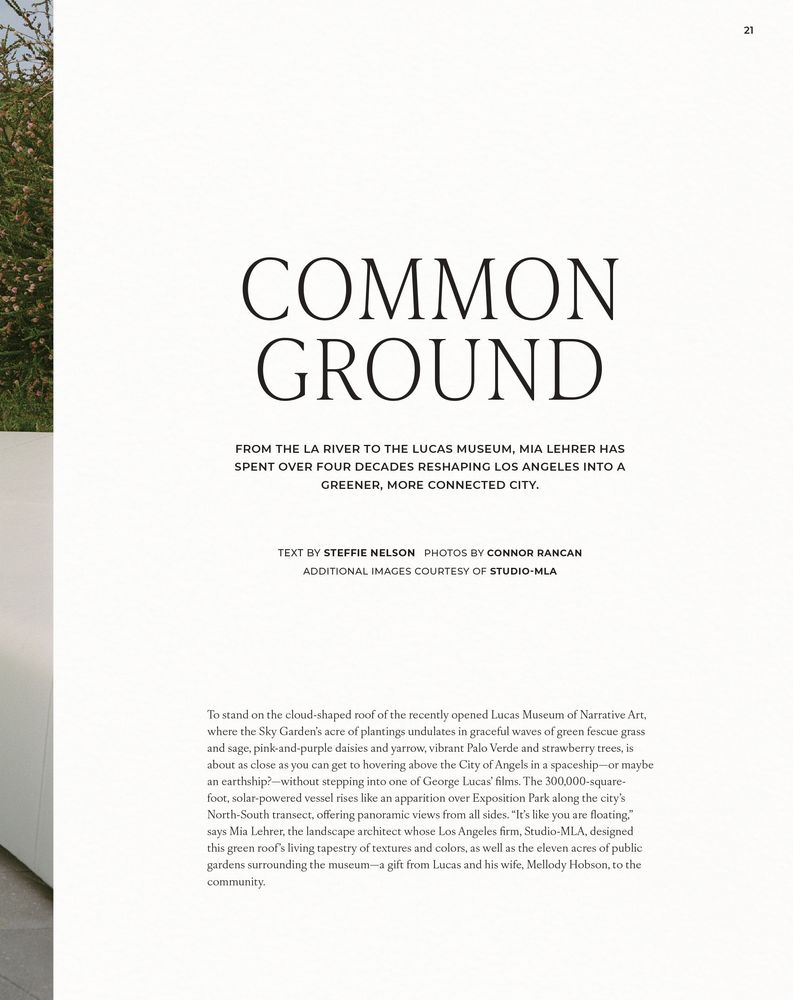 ISSUE 07 - Image 8